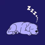 calmly - dog sleep music android application logo